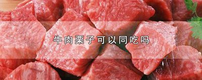 ​牛肉与栗子能一起吃吗早餐 牛肉与栗子能一起吃吗宝宝