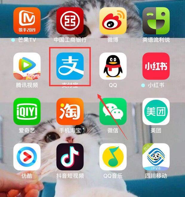 配图