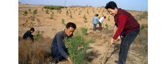 俗语“五十不建房，六十不栽树，七十不做衣”，啥意思？值得深思